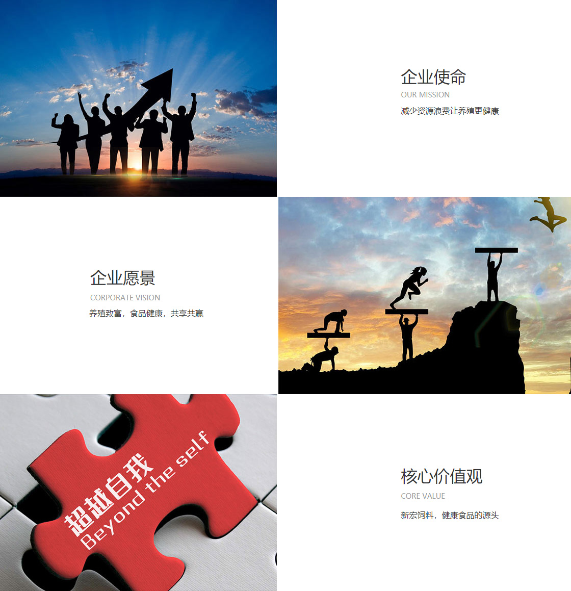 尊龙凯时人生就是搏酒(图1)